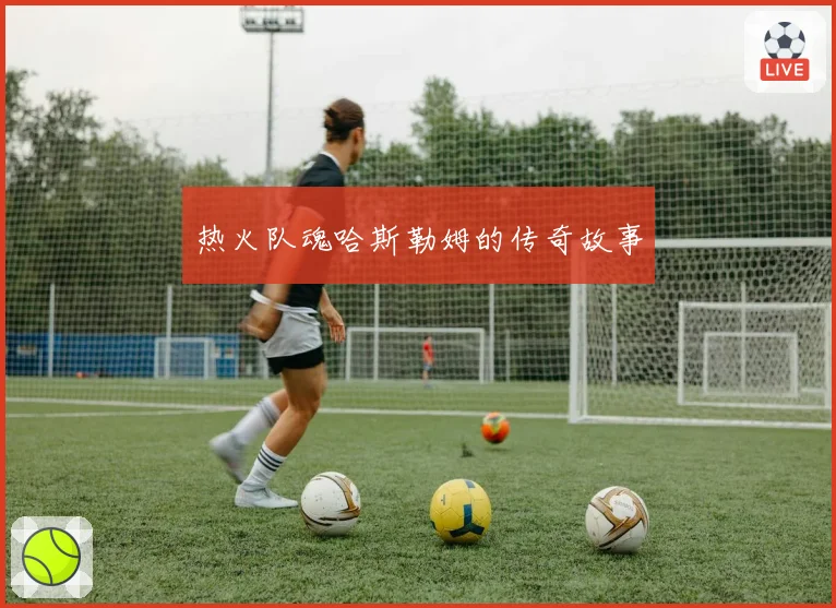 热火队魂哈斯勒姆的传奇故事