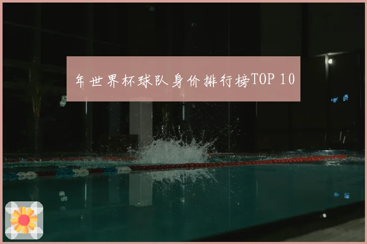 年世界杯球队身价排行榜TOP 10