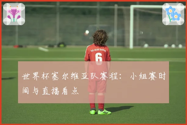 世界杯塞尔维亚队赛程：小组赛时间与直播看点